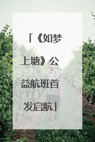 《如梦上塘》公益航班首发启航