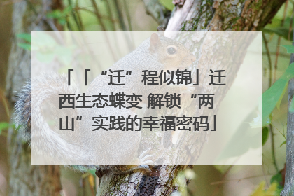「“迁”程似锦」迁西生态蝶变 解锁“两山”实践的幸福密码