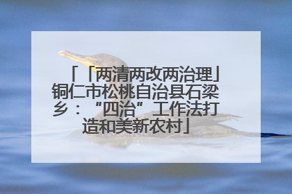 「两清两改两治理」铜仁市松桃自治县石梁乡：“四治”工作法打造和美新农村