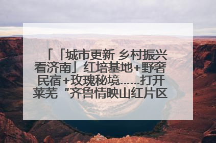 「城市更新 乡村振兴看济南」红培基地+野奢民宿+玫瑰秘境……打开莱芜“齐鲁情映山红片区”的破圈秘籍