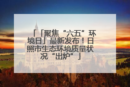 「聚焦“六五”环境日」最新发布！日照市生态环境质量状况“出炉”