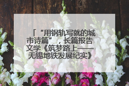 “用钢轨写就的城市诗篇”，长篇报告文学《筑梦路上——无锡地铁发展纪实》研讨会在南京举行