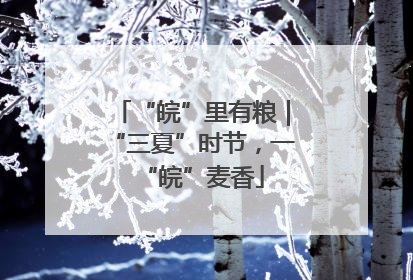 “皖”里有粮｜“三夏”时节，一“皖”麦香