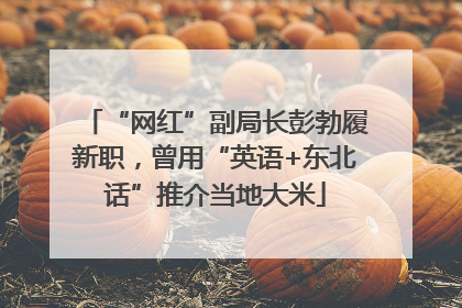 “网红”副局长彭勃履新职，曾用“英语+东北话”推介当地大米