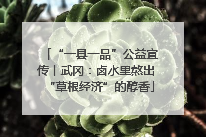 “一县一品”公益宣传丨武冈：卤水里熬出“草根经济”的醇香