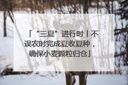 “三夏”进行时丨不误农时完成夏收夏种，确保小麦颗粒归仓