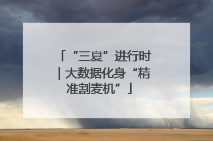 “三夏”进行时｜大数据化身“精准割麦机”
