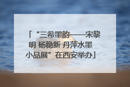 “三希墨韵——宋黎明 杨稳新 丹萍水墨小品展”在西安举办