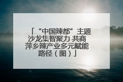 “中国辣都”主题沙龙集智聚力 共商萍乡辣产业多元赋能路径（图）
