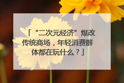 “二次元经济”爆改传统商场，年轻消费群体都在玩什么？