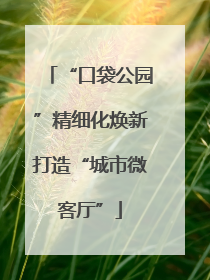 “口袋公园”精细化焕新打造“城市微客厅”