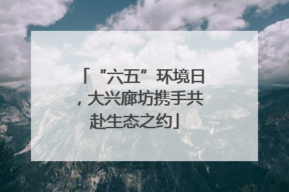 “六五”环境日，大兴廊坊携手共赴生态之约