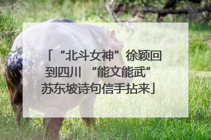 “北斗女神”徐颖回到四川 “能文能武”苏东坡诗句信手拈来