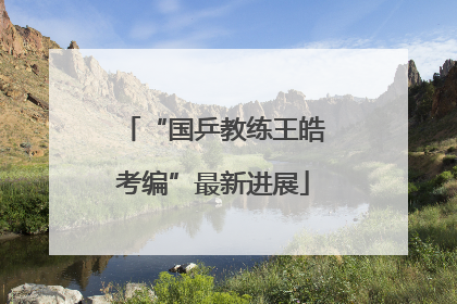 “国乒教练王皓考编”最新进展