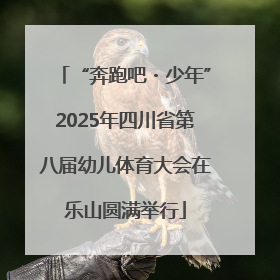 “奔跑吧・少年”2025年四川省第八届幼儿体育大会在乐山圆满举行