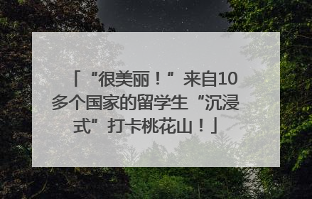 “很美丽！”来自10多个国家的留学生“沉浸式”打卡桃花山！