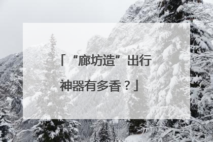 “廊坊造”出行神器有多香？