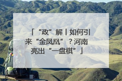 “政”解丨如何引来“金凤凰”？河南亮出“一盘棋”