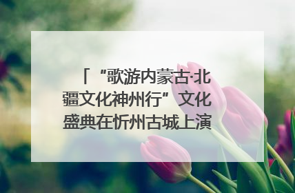 “歌游内蒙古·北疆文化神州行”文化盛典在忻州古城上演——蒙晋文化交融共谱文旅融合新篇