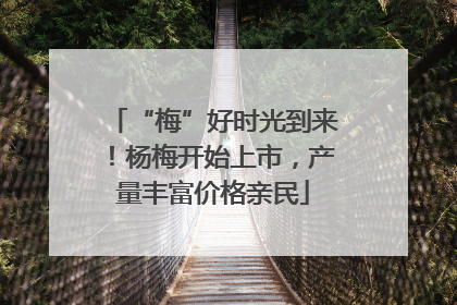 “梅”好时光到来！杨梅开始上市，产量丰富价格亲民