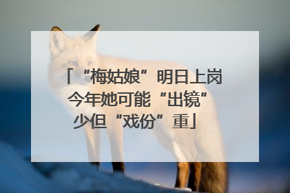 “梅姑娘”明日上岗 今年她可能“出镜”少但“戏份”重