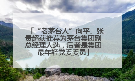 “老茅台人”向平、张贵超获推荐为茅台集团副总经理人选，后者是集团最年轻党委委员