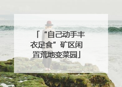 “自己动手丰衣足食”矿区闲置荒地变菜园