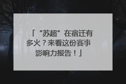 “苏超”在宿迁有多火？来看这份赛事影响力报告！