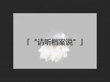 “请听档案说”