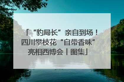 “豹局长”亲自到场！四川攀枝花“自带香味”亮相西博会丨图集