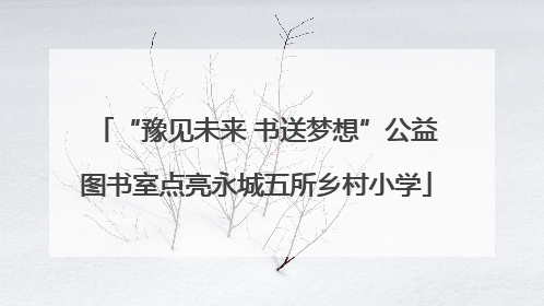 “豫见未来 书送梦想”公益图书室点亮永城五所乡村小学