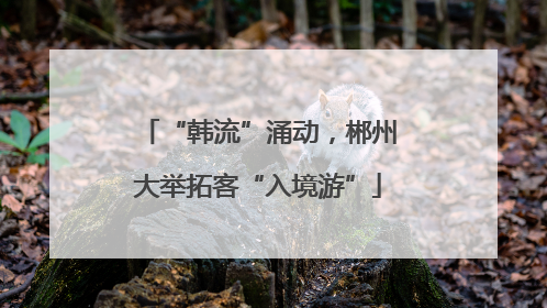“韩流”涌动，郴州大举拓客“入境游”