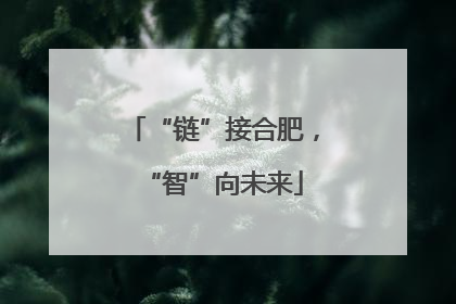“链”接合肥，“智”向未来