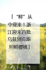 “鲜”从中亚来！浙江迎来首批乌兹别克斯坦鲜樱桃