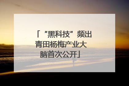 “黑科技”频出 青田杨梅产业大脑首次公开