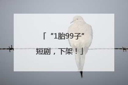 “1胎99子”短剧，下架！