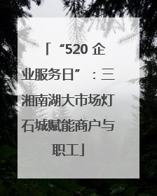 “520 企业服务日”：三湘南湖大市场灯石城赋能商户与职工