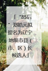 “85后”郑皓元拟提名为辽宁地级市县（市、区）长候选人