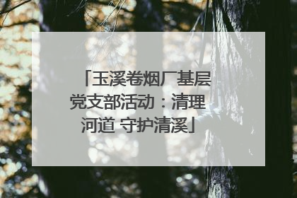 玉溪卷烟厂基层党支部活动：清理河道 守护清溪
