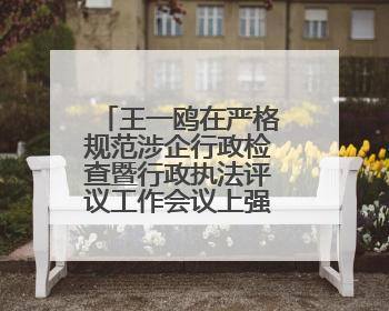 王一鸥在严格规范涉企行政检查暨行政执法评议工作会议上强调 推进涉企行政检查质效大幅提升