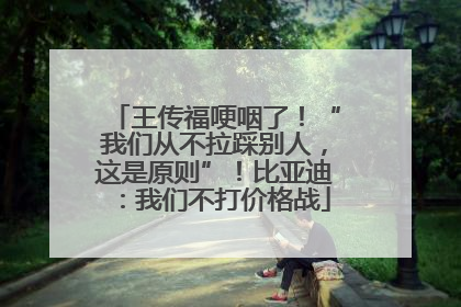 王传福哽咽了！“我们从不拉踩别人，这是原则”！比亚迪：我们不打价格战