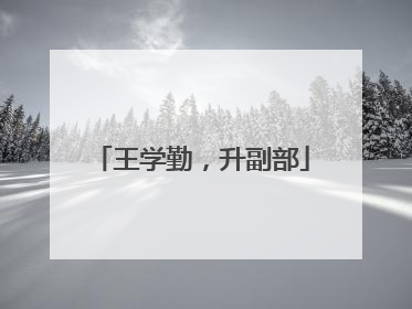 王学勤，升副部