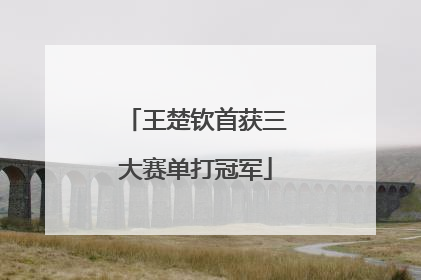 王楚钦首获三大赛单打冠军