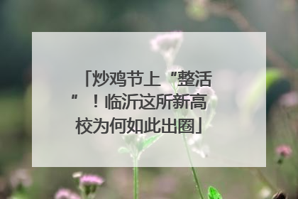 炒鸡节上“整活”！临沂这所新高校为何如此出圈