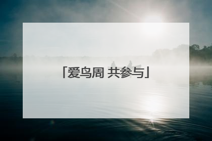 爱鸟周 共参与