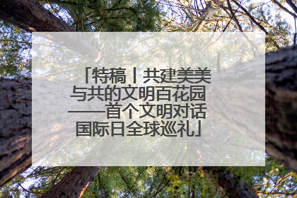 特稿丨共建美美与共的文明百花园——首个文明对话国际日全球巡礼