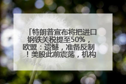 特朗普宣布将把进口钢铁关税提至50%，欧盟：遗憾，准备反制！美股此前震荡，机构：美元正进入熊市
