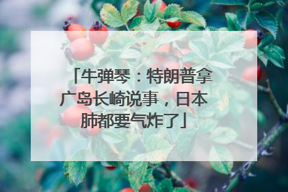 牛弹琴：特朗普拿广岛长崎说事，日本肺都要气炸了