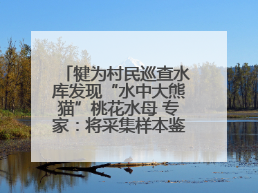 犍为村民巡查水库发现“水中大熊猫”桃花水母 专家：将采集样本鉴定具体种属