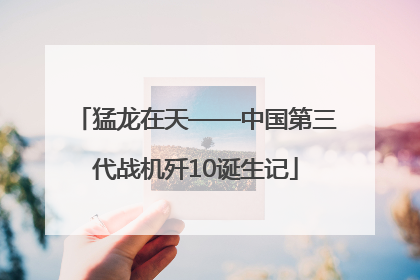猛龙在天——中国第三代战机歼10诞生记